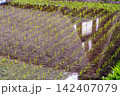 世界遺産五箇山・相倉合掌造り集落　水面に浮かぶ日本の原風景 142407079