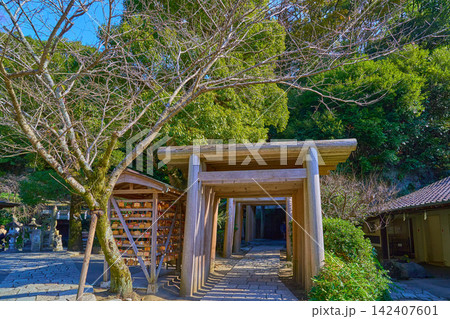 秋の神奈川県鎌倉市の銭洗弁財天(宇賀福神社)の境内側から鳥居、トンネル方面 142407601