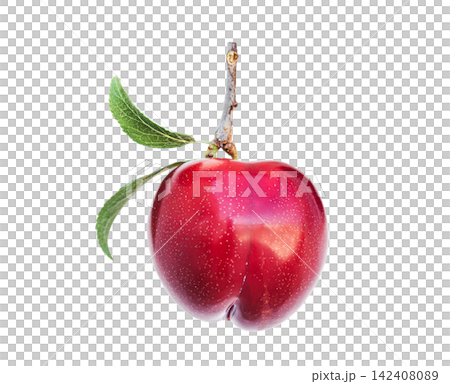 Ripe plum gleams with natural shine. Smooth skin reflects soft studio lighting. Tiny speckles dot its rich, deep red hue. Two green leaves attach to short, woody stem Ripe plum gleams with natural shine. Smooth skin reflects soft studio lighting. Tiny speckles dot its rich, deep red hue. Two green leaves attach to short, woody stem 142408089