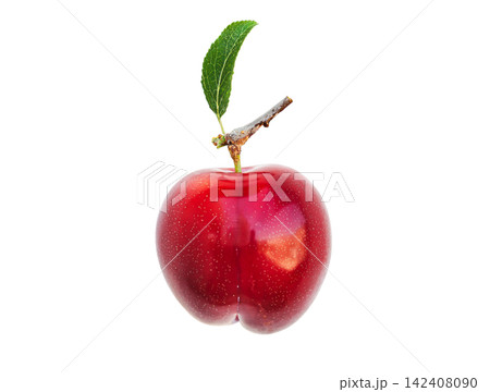 Single red plum gleams with freshness. Its skin shimmers with tiny, natural speckles. Leaf and stem add rustic charm. Plum sits isolated against pure white. Ideal for food, health, or seasonal imagery Single red plum gleams with freshness. Its skin shimmers with tiny, natural speckles. Leaf and stem add rustic charm. Plum sits isolated against pure white. Ideal for food, health, or seasonal imagery 142408090