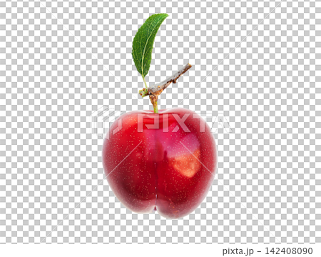 Single red plum gleams with freshness. Its skin shimmers with tiny, natural speckles. Leaf and stem add rustic charm. Plum sits isolated against pure white. Ideal for food, health, or seasonal imagery Single red plum gleams with freshness. Its skin shimmers with tiny, natural speckles. Leaf and stem add rustic charm. Plum sits isolated against pure white. Ideal for food, health, or seasonal imagery 142408090