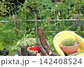 緑の庭の片隅で 142408524