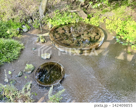 富士山の伏流水が湧き出る静岡県清水町の柿田川湧水群、清流と緑豊かな水辺の自然風景 富士山の伏流水が湧き出る静岡県清水町の柿田川湧水群、清流と緑豊かな水辺の自然風景 142409855