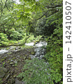 須雲川（箱根） 142410507