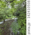 須雲川（箱根） 142410508