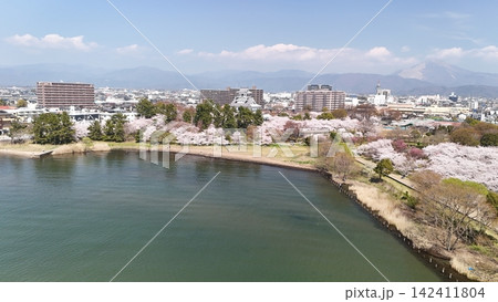 近江 長浜城 春の桜満開の様子 上空より 近江 長浜城 春の桜満開の様子 上空より 142411804
