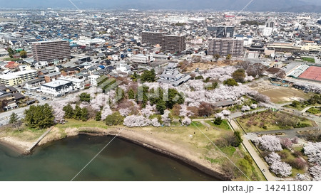 近江 長浜城 春の桜満開の様子 上空より 近江 長浜城 春の桜満開の様子 上空より 142411807