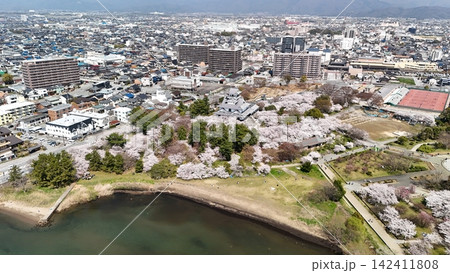 近江 長浜城 春の桜満開の様子 上空より 近江 長浜城 春の桜満開の様子 上空より 142411808