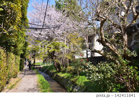 京都・南禅寺界隈扇ダム放水路の小道 京都・南禅寺界隈扇ダム放水路の小道 142411841