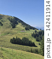 High Alpine Meadow with Winding Trail and Mountain Cabin. Perspective of a gravel path in lush green mountain terrain, leading up toward a secluded alpine house building 142411914