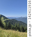High Alpine Meadow with Winding Trail and Mountain Cabin. Perspective of a gravel path in lush green mountain terrain, leading up toward a secluded alpine house building 142411916