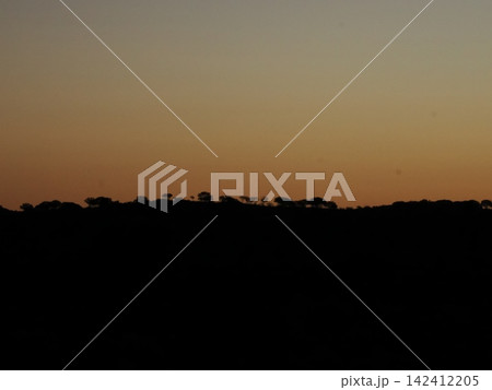 黄昏に沈む稜線—樹木の影が並ぶ内陸の静寂な夕景景観記録 142412205