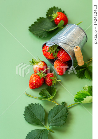 Rustic metal bucket filled with fresh strawberries Rustic metal bucket filled with fresh strawberries 142412413