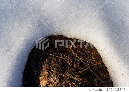 Sparkling spring snow slowly melts, unveiling the rich, dark earth beneath. A beautiful contrast of textures and seasons 142412843