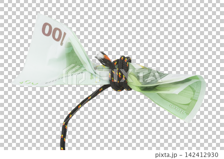 Several 100 Euro banknotes are tied together with a black and colorful rope. Several 100 Euro banknotes are tied together with a black and colorful rope. 142412930