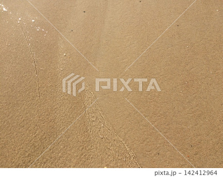 Wet sand texture on a sea beach with clear water wave edge 142412964