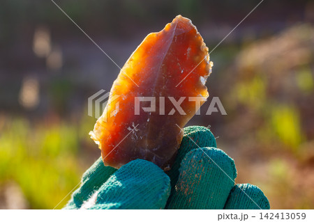 Close-up of a translucent, jagged chalcedony shard glowing in the sunlight, held by a gloved hand during a hobbyist mineral rockhounding adventure in a natural outdoor setting 142413059
