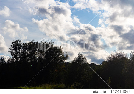 Lush forest silhouettes standing against a dramatic backdrop of fluffy white clouds and patches of bright blue sky on a clear sunny day during the golden hour of afternoon Lush forest silhouettes standing against a dramatic backdrop of fluffy white clouds and patches of bright blue sky on a clear sunny day during the golden hour of afternoon 142413065