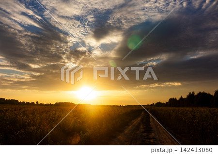 Golden sun glowing above a rustic country road cutting through a vast meadow, cinematic warm light illuminating the grassy landscape under a dramatic textured sky with soft clouds 142413080