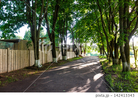 Lush green trees lining a peaceful paved walkway with a rustic wooden fence, creating a serene atmosphere in a sunny park setting during a vibrant spring day outdoors Lush green trees lining a peaceful paved walkway with a rustic wooden fence, creating a serene atmosphere in a sunny park setting during a vibrant spring day outdoors 142413343