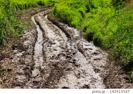 Deep muddy tire tracks carved by a heavy all-terrain vehicle through a swampy green meadow, showcasing a challenging off-road trail under bright summer sunlight 142413587