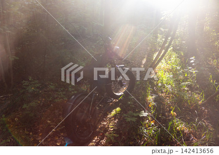 Electric fat bike parked on a narrow forest trail during a golden hour, captured with beautiful lens flare and soft sunlight filtering through the dense woodland trees 142413656