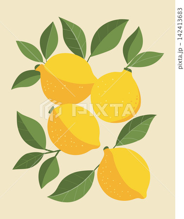 Juicy lemon fruits with leaves composition. Juicy lemons with leaves poster. Juicy lemon fruits with leaves composition. Juicy lemons with leaves poster. 142413683