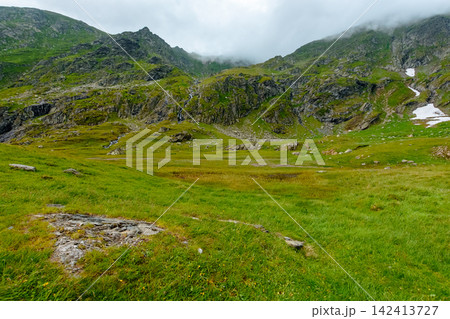 Romania mountain landscape in summer. scenic view of Fagaras ridge under overcast sky. rainy weather forecast background Romania mountain landscape in summer. scenic view of Fagaras ridge under overcast sky. rainy weather forecast background 142413727