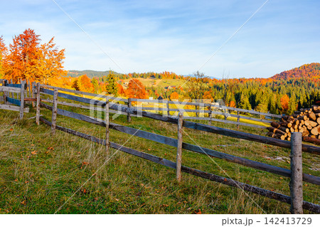 Romania countryside on autumn evening. mountain scenery with wooden fence through hill. rural life in remote area of Apuseni natural park 142413729