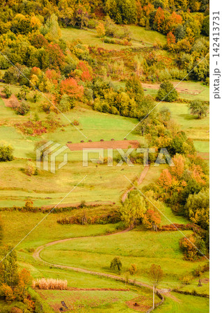 countryside mountain scene. autumnal nature texture of a deciduous forest on a steep hillside. rural area of Uzhanian park of Transcarpathia, Ukraine countryside mountain scene. autumnal nature texture of a deciduous forest on a steep hillside. rural area of Uzhanian park of Transcarpathia, Ukraine 142413731