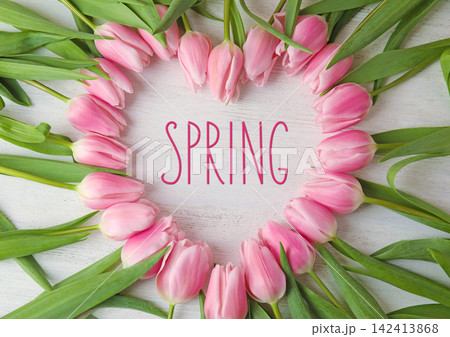 Beautiful pink tulips on white wooden background, flat lay. Hello spring 142413868