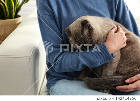 Young woman with cute cat at home, closeup. Fluffy pet 142414256