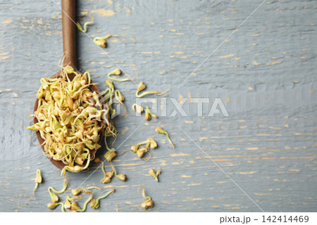 Spoon with sprouted green buckwheat on grey wooden table, flat lay. Space for text Spoon with sprouted green buckwheat on grey wooden table, flat lay. Space for text 142414469
