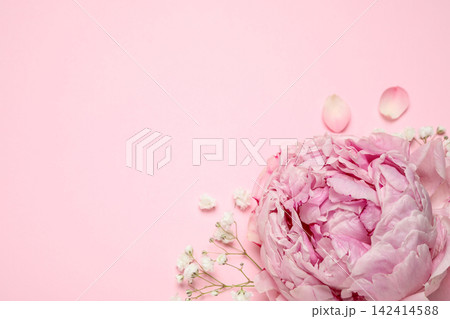 Beautiful floral composition with peony on pink background, flat lay. Space for text Beautiful floral composition with peony on pink background, flat lay. Space for text 142414588