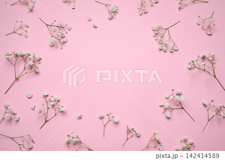 Frame made of beautiful gypsophila flowers on pink background, flat lay with space for text. Floral layout Frame made of beautiful gypsophila flowers on pink background, flat lay with space for text. Floral layout 142414589