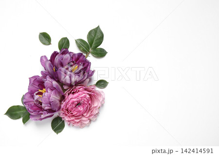 Beautiful floral composition with flowers on white background, flat lay. Space for text 142414591