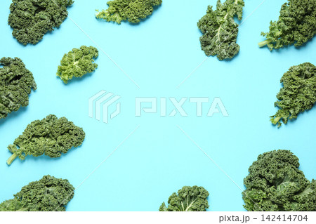 Fresh kale leaves on light blue background, flat lay. Space for text 142414704