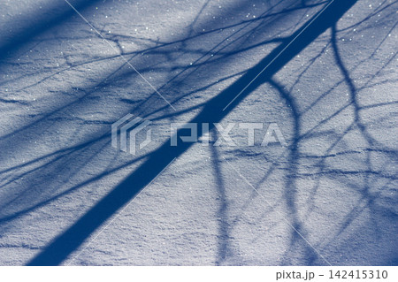 Intricate dark shadows of slender birch branches cast across the textured surface of sparkling white snow on a crisp and bright winter day in the calm forest landscape Intricate dark shadows of slender birch branches cast across the textured surface of sparkling white snow on a crisp and bright winter day in the calm forest landscape 142415310