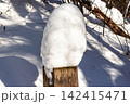 Majestic white snow cap rests on an old weathered wooden post in a serene winter forest, sparkling in sunlight. Nature's frosty beauty 142415471