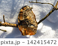 Roughly knapped modern flint hand axe, amber-toned, resting on pristine snow under brilliant sunlight, evoking ancient craft and paleolithic survival 142415472