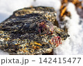 Radiant red almandine garnet gem, firmly set in dark, textured mica schist, a rugged natural jewel contrasting a crisp winter snowscape. Kitelskoe deposit, Kitelya, Karelia, Russia 142415477