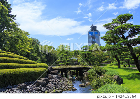 駿府城址の夏 142415564