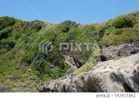 真夏の神奈川県三浦半島城ヶ島海岸の岬の風景 真夏の神奈川県三浦半島城ヶ島海岸の岬の風景 142415862