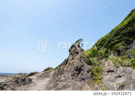 真夏の神奈川県三浦半島城ヶ島海岸の岬の風景 142415871