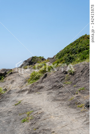 神奈川県城ヶ島海岸 海岸線を行く歩道 神奈川県城ヶ島海岸 海岸線を行く歩道 142415878