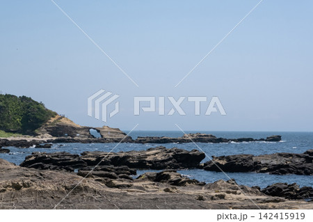 神奈川県城ヶ島海岸 馬の背洞門の風景 神奈川県城ヶ島海岸 馬の背洞門の風景 142415919
