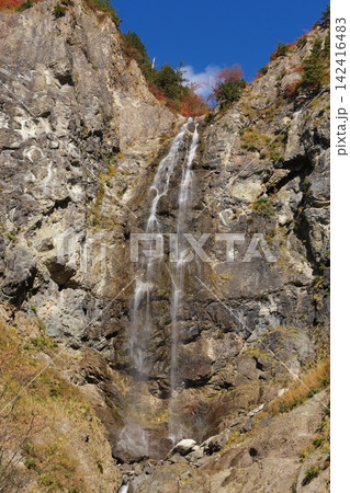 秋の白山白川郷ホワイトロード ふくべの大滝 秋の白山白川郷ホワイトロード ふくべの大滝 142416483