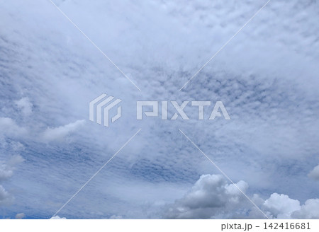 夏空一面に広がる白いうろこ雲と積雲 142416681