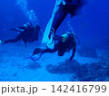青い海の中を泳ぐスキューバダイバーたち 142416799