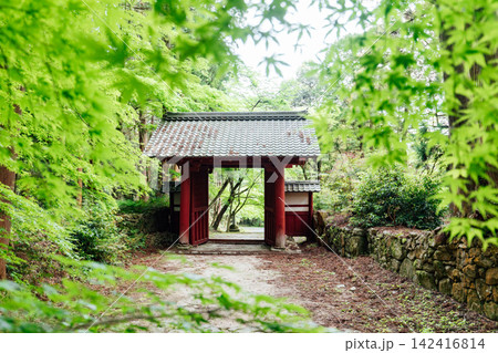 【滋賀県東近江市】百済寺 赤門と新緑の参道 【滋賀県東近江市】百済寺 赤門と新緑の参道 142416814